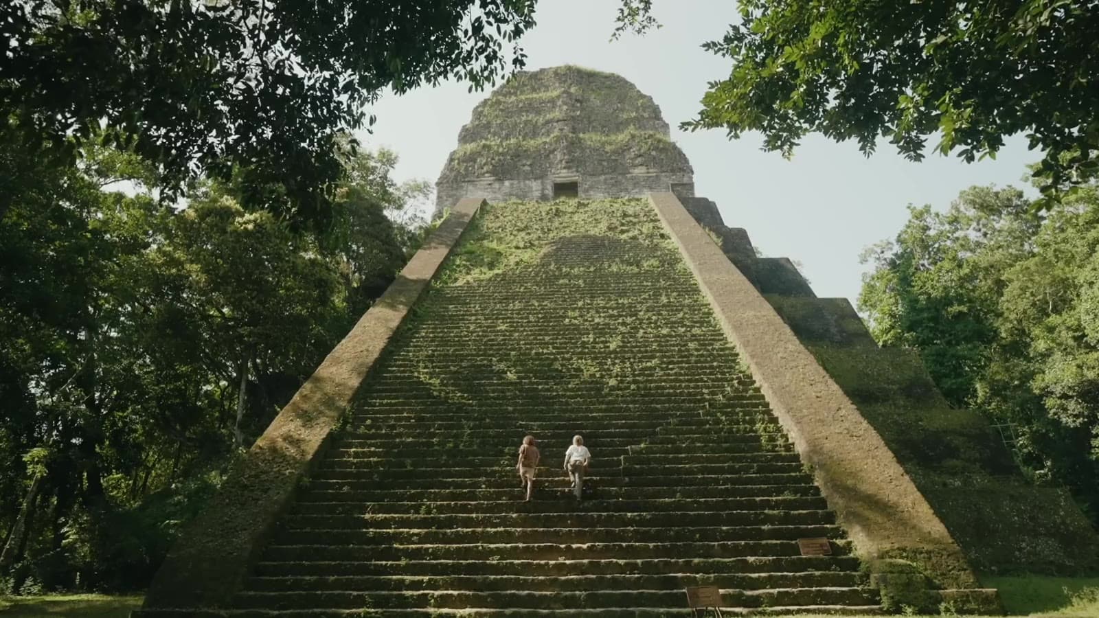 Tikal's Temple IV view over the jungle canopy